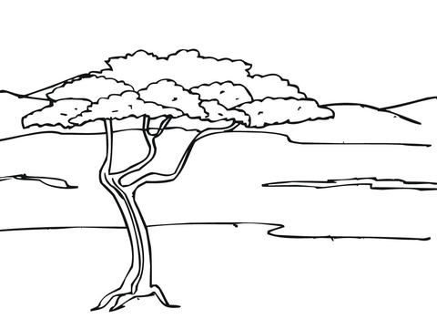 Acacia Tree In Savanna Coloring Page